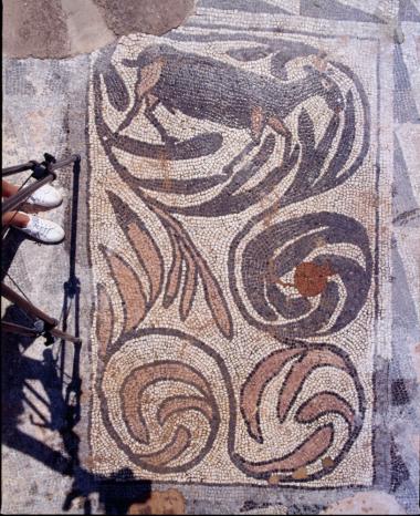 Χωρίς Τίτλο