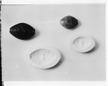 Σφραγιδόλιθοι με παράσταση πρόχου και σουπιάς από τα Γουρνιά