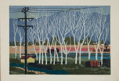 Λεύκες στη Μεσσήνη