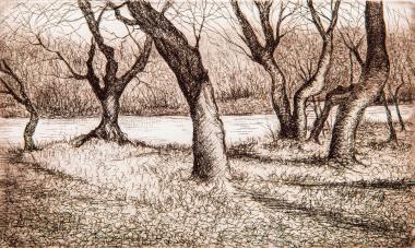 Βοϊδομάτης