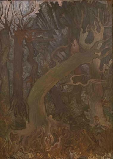 Δάσος στα Άγραφα