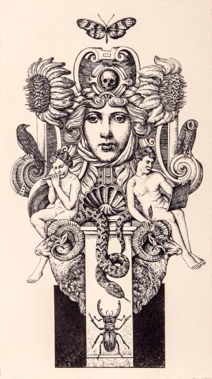 Ορώ το κάλλος