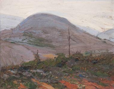 Τοπίο με βουνό