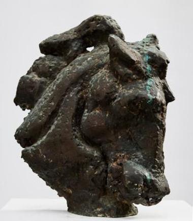 Κεφάλι αλόγου