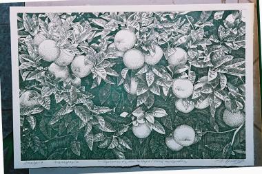 Πορτοκαλιές (από τη σειρά \