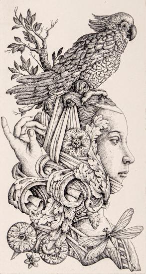 Νύχτα του θέρους