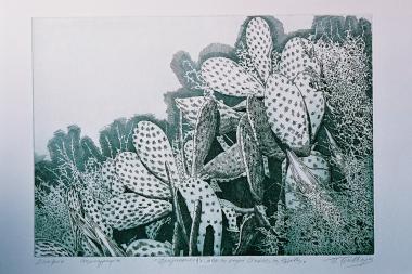 Φραγκοσυκιές (απ' τη σειρά ο Κήπος της Ελλάδας)