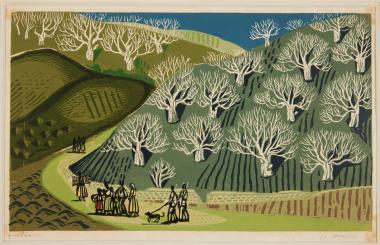 Ξερές συκιές