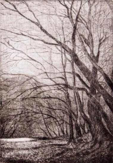 Βοϊδομάτης