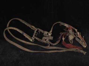 Χαλινό αλόγου.