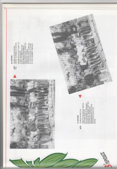 Posters 67