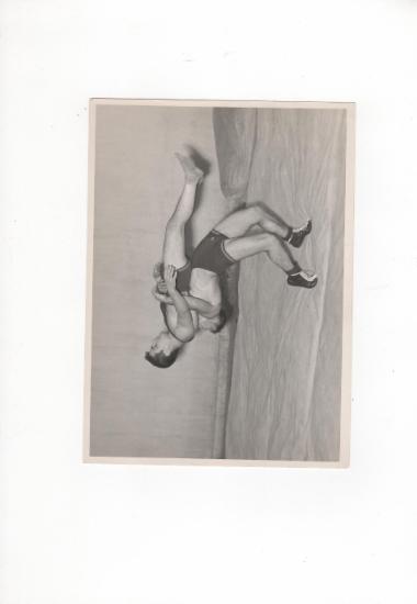 Posters 196