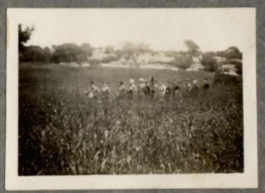 ΒΑΡΚΙΖΑ 1931, ΠΗΛΙΟ 1932,1968 11