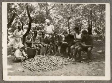 ΒΑΡΚΙΖΑ 1931, ΠΗΛΙΟ 1932,1968 33