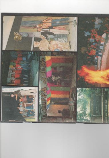 Posters 43