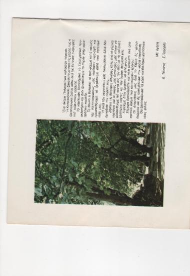 Posters 50