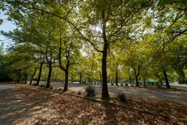 Πάρκινγκ Εκθεσιακού Κέντρου (DSC1652)