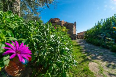 Παναγία των Βλαχερνών (DSC4612)