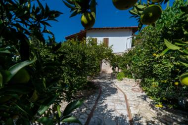 Μοναστήρι Κάτω Παναγίας (DSC4149)