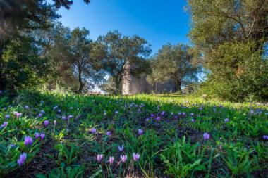 Κάστρο Κούλιας (DSC4269)