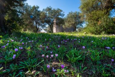 Κάστρο Κούλιας (DSC4271)