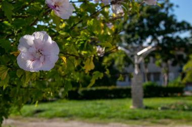 Πλατεία Σκουφά (DSC0007)