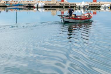 Κορωνησία (DSC0111)