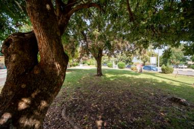 Πλατεία Ζέρβα (DSC1686)