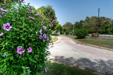 Πλατεία Ζέρβα (DSC1690)