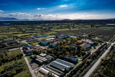 ΤΕΙ-Βιβλιοθήκη (DJI0701)