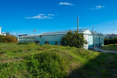 ΤΕΙ-Βιβλιοθήκη (DSC4739)