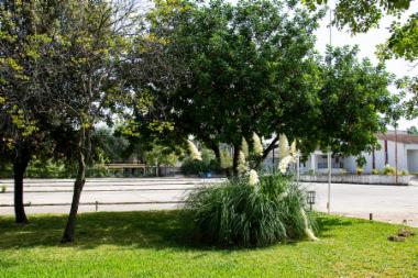 Εκθεσιακό Κέντρο (DSC0005)