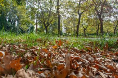 Πάρκινγκ Εκθεσιακού Κέντρου (DSC1632)