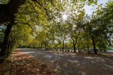 Πάρκινγκ Εκθεσιακού Κέντρου (DSC1641)