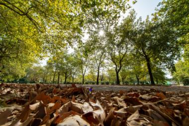 Πάρκινγκ Εκθεσιακού Κέντρου (DSC1648)