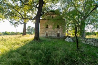 Ιμαρέτ (DSC4025)