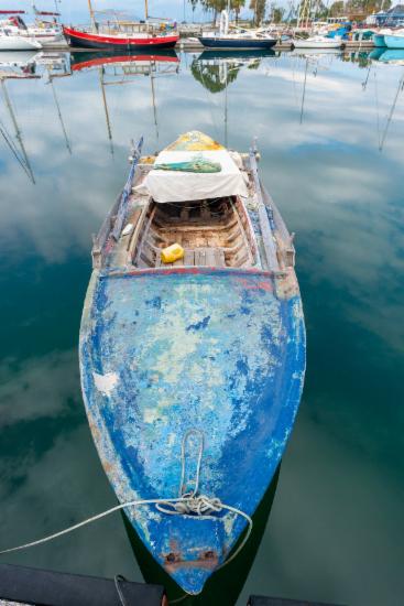 Κορωνησία (DSC4291)