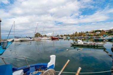 Κορωνησία (DSC4305)