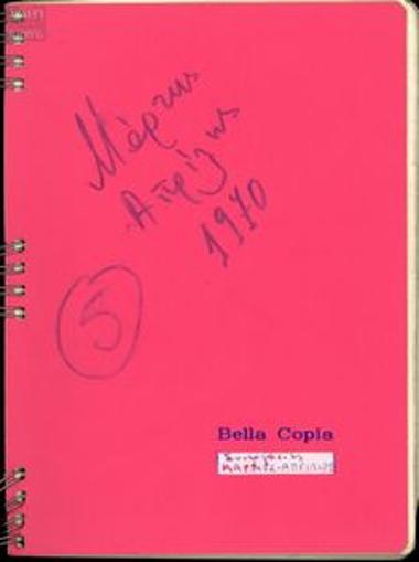 Notebooks with notes by Maria Karra on the activities of the Anti-dictatorship Workers' Front (AEM), union rights, meetings with foreign bodies, news from Greece, etc.