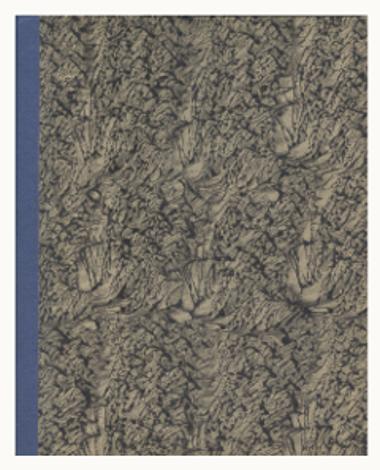 Giulia: Symphonische Dichtung fur grosses Orchester, ΙΙΙ. Teil