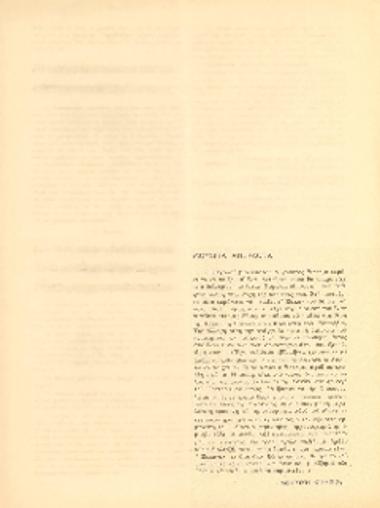 [Άρθρο] Μουσικά ανέκδοτα