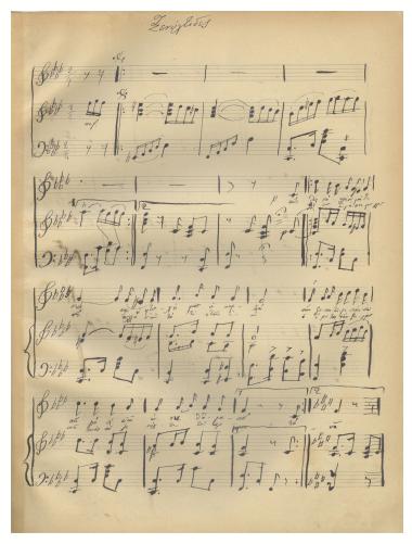 Ξενύχτιδες