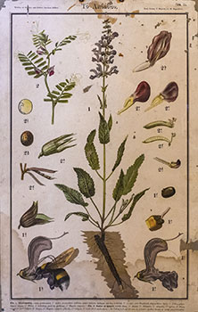 Το Λειβάδιον