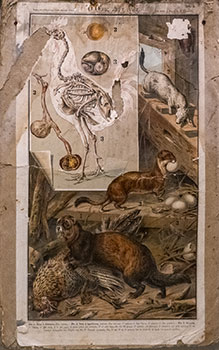 Ο οίκος και η αυλή