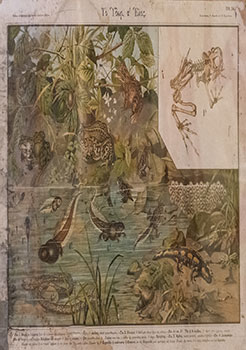 Το ύδωρ. α’ Έλος