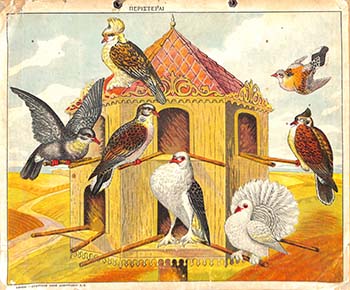 Περιστέραι