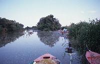 Άποψη του δέλτα του Πηνειού μέσα από τη βάρκα