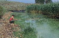 Ερασιτεχνικό ψάρεμα στη λίμνη Ζάζαρη