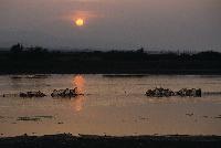 Νταλιάνι το ηλιοβασίλεμα στον ποταμό Έβρο