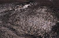 Πλημμυρισμένες εκτάσεις στο δέλτα του Σπερχειού